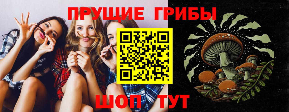 Псилоцибиновые грибы Psilocybine cubensis Пенза