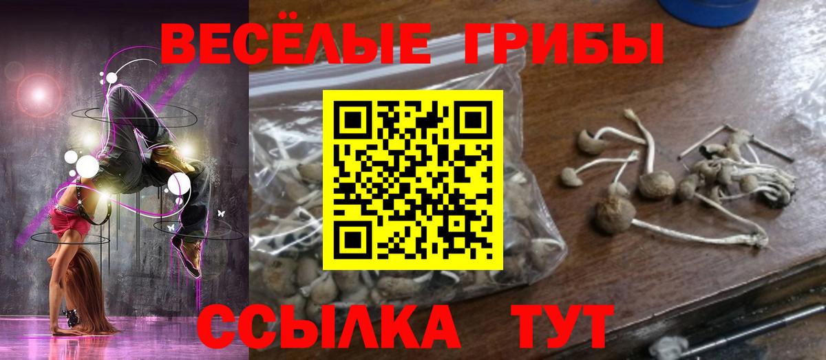 Псилоцибиновые грибы MAGIC MUSHROOMS  закладки  Пенза  Вход с VPN 